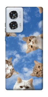 Чохол на Motorola Edge 50 Fusion Сats фото 1 з 1