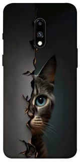 Чохол на OnePlus 7 Кіт-підглядач v2 фото 1 з 1
