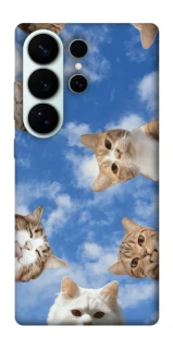 Чехол на Samsung Galaxy S26 Ultra Сats фото 1 из 1