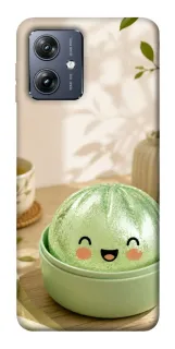 Чехол на Motorola Moto G54 Dumpling ver.3 фото 1 из 1