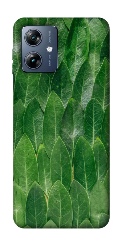 Чохол на Motorola Moto G54 Power Листя фото 1 з 1