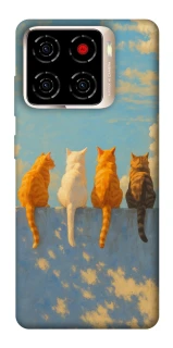 Чохол на ZTE Blade A56 cats on wall фото 1 з 1