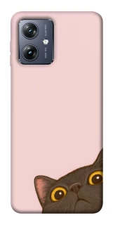 Чохол на Motorola Moto G54 Peeping cat фото 1 Чохол на Motorola Moto G54 Peeping cat фото 1 з 1