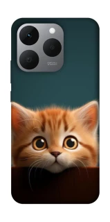 Чохол на Realme 15T Чохол Кошеня фото 1 з 1