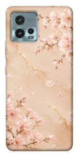 Чохол на Motorola Moto G72 Sakura ver.2 фото 1 з 1