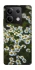 Чехол на Xiaomi Redmi Note 13 5G Ромашки v13 фото 1 из 1