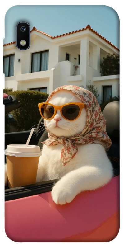 Чохол на Samsung Galaxy A10 (A105F) Stylish Cat Cruise фото 1 з 1