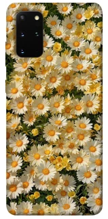 Чохол на Samsung Galaxy S20+ Camomile фото 1 з 1