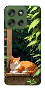 Чохол на Motorola Moto G56 5G red cat фото 1 з 1