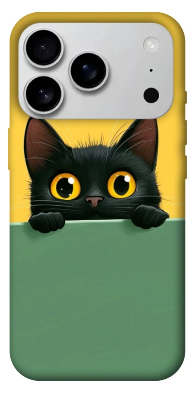 Чохол на Apple iPhone 17 Pro Max (6.9") Black cat v2 фото 1 з 1