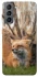 Чохол на Samsung Galaxy S21 FE Лисиця фото 1 з 1