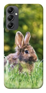 Чехол на Samsung Galaxy A14 4G/5G Кролики фото 1 из 1