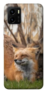 Чехол на Vivo Y15s Лиса фото 1 из 1