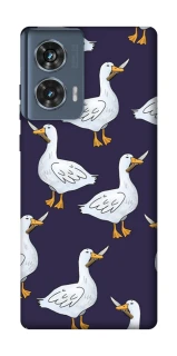 Чохол на Motorola Edge 50 Гуси з претензією фото 1 з 1