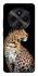 Чохол на Xiaomi Redmi A4 Leopard v2 фото 1 з 1