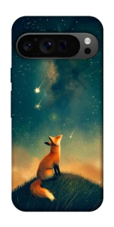 Чехол на Google Pixel 9 Pro Sky fox фото 1 из 1