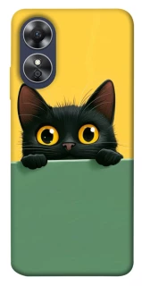 Чехол на Oppo A17 Black cat v2 фото 1 из 1