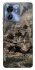 Чохол на Motorola Edge 40 Black hawk фото 1 з 1