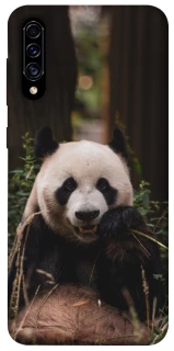 Чехол на Samsung Galaxy A50 (A505F) / A50s / A30s Панда фото 1 из 1
