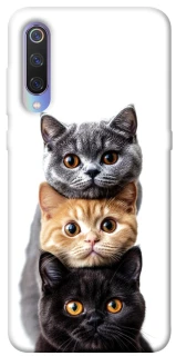 Чохол на Xiaomi Mi 9 Гарні котики фото 1 з 1