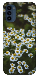 Чехол на Motorola Moto G41 Ромашки v13 фото 1 из 1