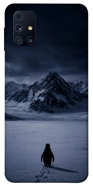 Чохол на Samsung Galaxy M31s But why? фото 1 з 1