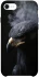Чохол на Apple iPhone SE (2020) black eagle фото 1 з 1