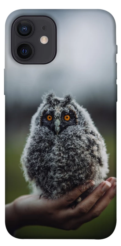 Чехол на Apple iPhone 12 (6.1") Совёнок фото 1 из 1