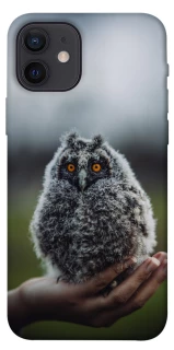 Чохол на Apple iPhone 12 (6.1") Совеня фото 1 з 1