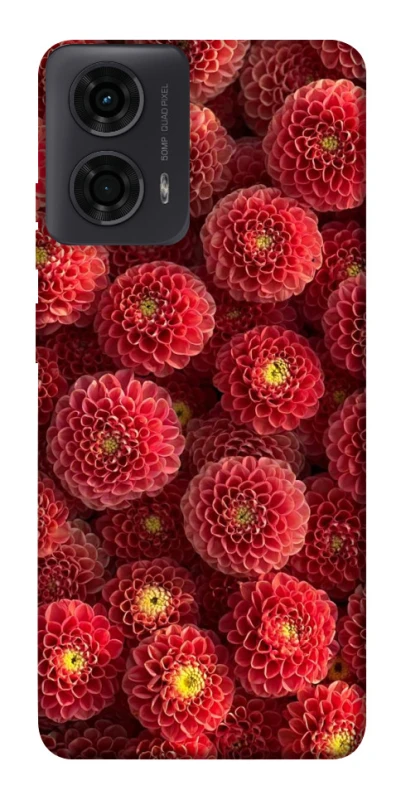 Чохол на Motorola Moto G24 Midnight1 фото 1 з 1