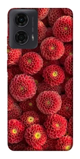 Чохол на Motorola Moto G24 Midnight1 фото 1 з 1