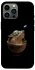 Чохол на Apple iPhone 12 Pro Max (6.7") Star Wars Grogu фото 1 з 1