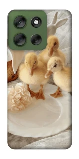 Чехол на Motorola Moto G56 5G Easter Vibes фото 1 из 1