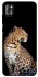 Чехол на TECNO POP 4 Pro Leopard v2 фото 1 из 1