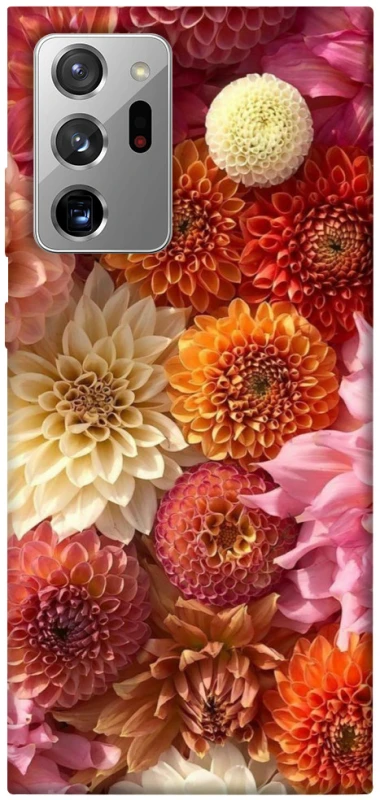 Чохол на Samsung Galaxy Note 20 Ultra Bouquet фото 1 з 1