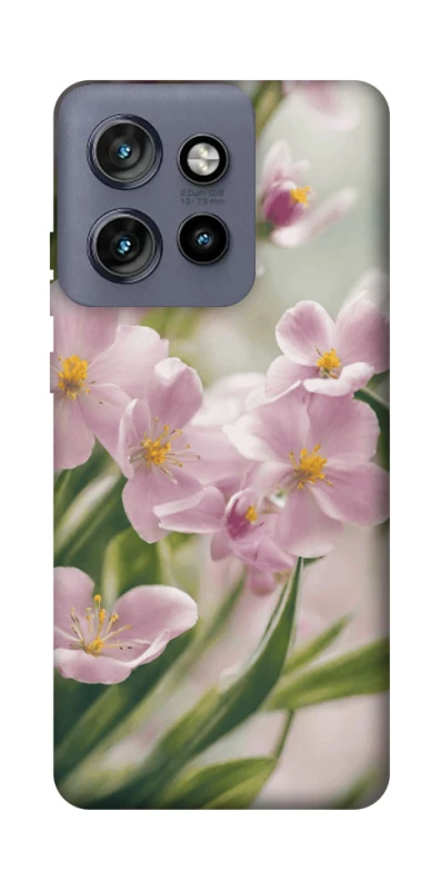 Чохол на Motorola Edge 50 Neo Spring фото 1 з 1