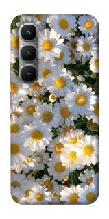 Чохол на Infinix Hot 60 Pro Поле ромашок фото 1 Чохол на Infinix Hot 60 Pro Поле ромашок фото 1 з 1