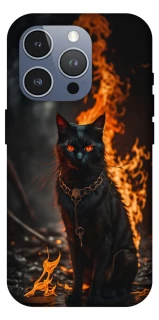Чохол на Apple iPhone 16 Pro Max Вогняний кіт фото 1 з 1