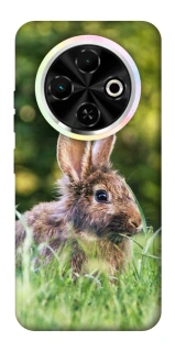 Чехол на TECNO Spark 30C Кролики фото 1 из 1