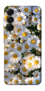 Чохол на Samsung Galaxy A16 4G/5G Поле ромашок фото 1 з 1