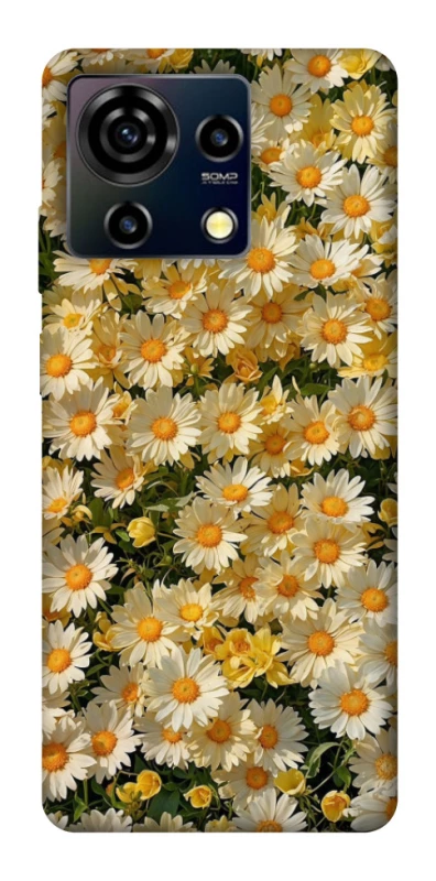 Чохол на ZTE Blade V50 Vita Camomile фото 1 з 1