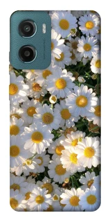Чехол на Motorola Moto G06 Поле ромашек фото 1 из 1