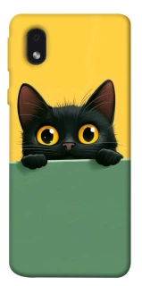 Чехол на Samsung Galaxy M01 Core / A01 Core Black cat v2 фото 1 из 1