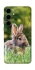 Чехол на Samsung Galaxy S25 FE Кролики фото 1 из 1
