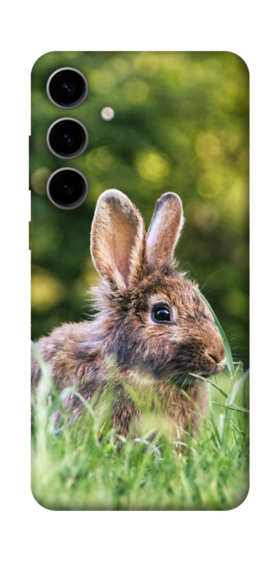 Чохол на Samsung Galaxy S25 Кролики фото 1 з 1