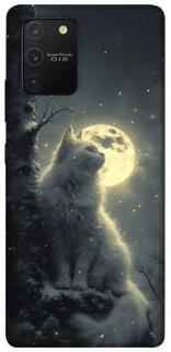 Чохол на Samsung Galaxy S10 Lite Кіт під місяцем фото 1 з 1