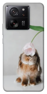 Чохол на Xiaomi 13T Pro Bunny фото 1 з 1