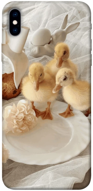 Чохол на Apple iPhone XS Max (6.5") Easter Vibes фото 1 з 1