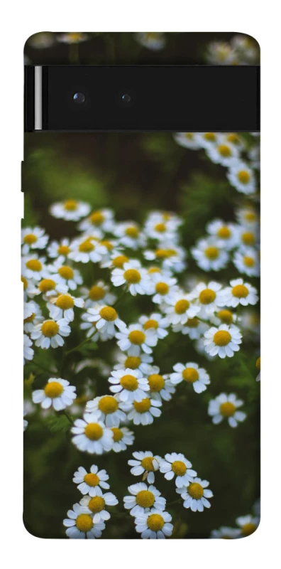 Чохол на Google Pixel 6 Ромашки v13 фото 1 з 1