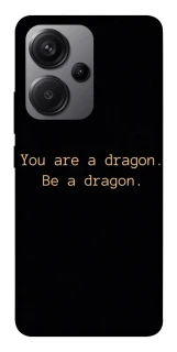 Чохол на Xiaomi Redmi Note 13 Pro+ House of the Dragon ver.9 фото 1 з 1